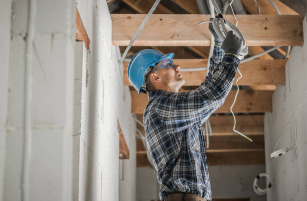 Best Electric Panel Repair  in Silver Lake, FL